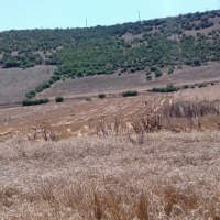 روستای خرشک